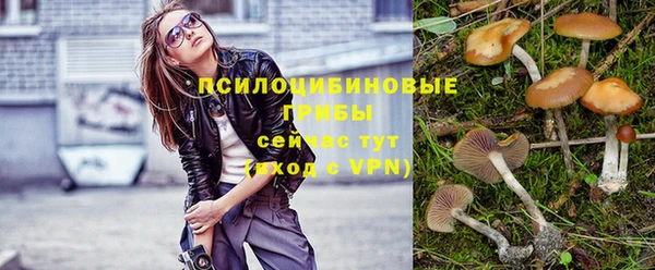 MDMA Premium VHQ Бердск
