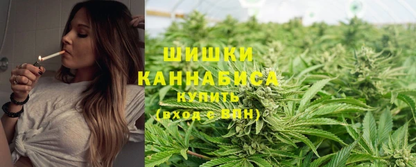 ECSTASY Магас